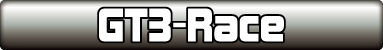 GT3.png
